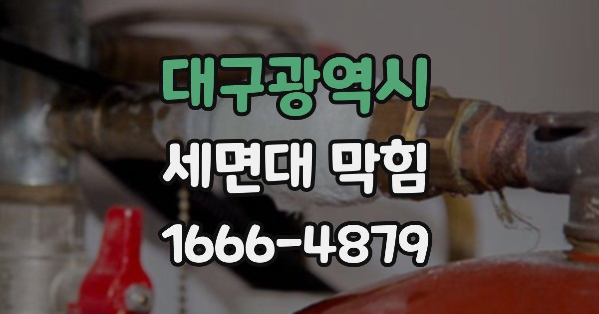대구광역시 세면대 막힘