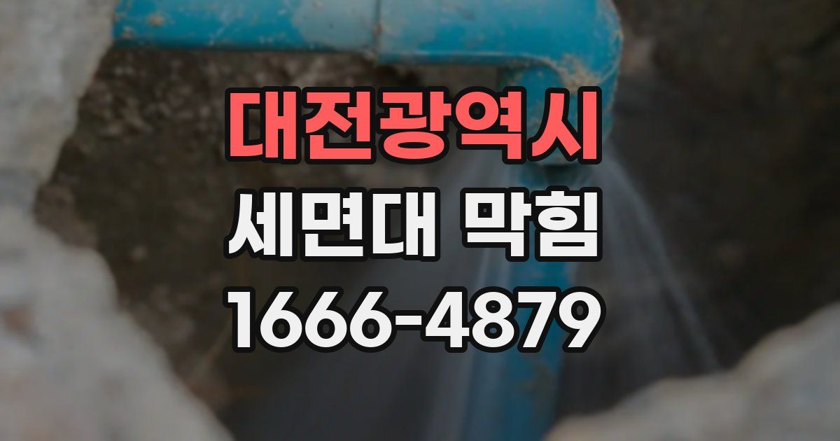 대전광역시 세면대 막힘