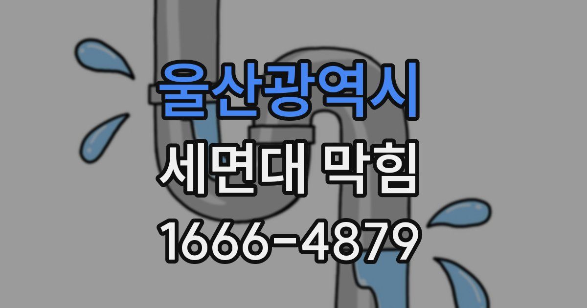 울산광역시 세면대 막힘