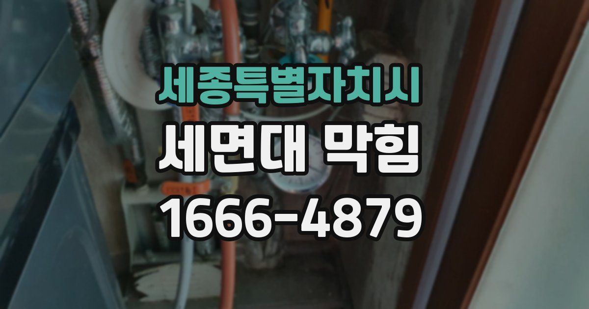 세종특별자치시 세면대 막힘
