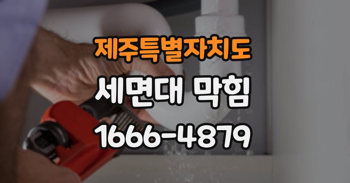 제주특별자치도 세면대 막힘