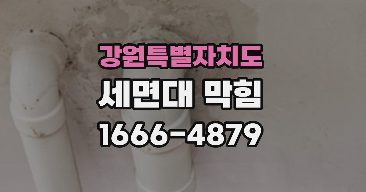 강원특별자치도 세면대 막힘
