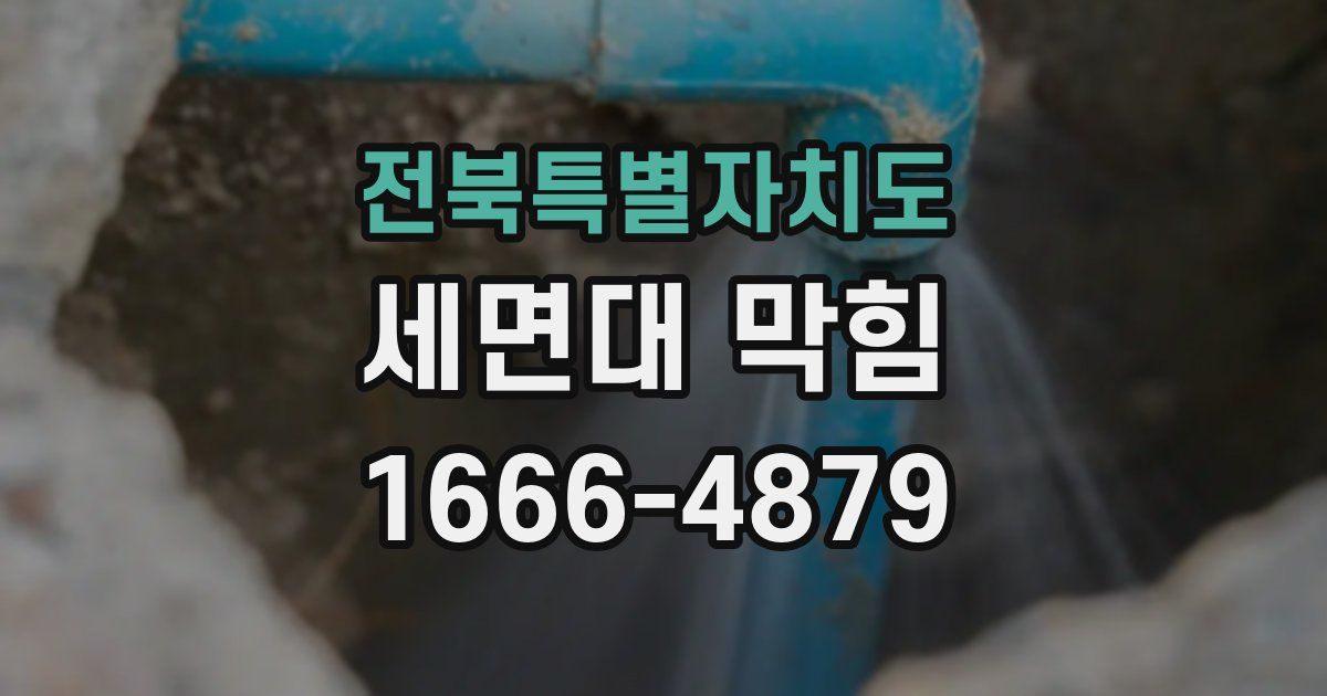 전북특별자치도 세면대 막힘