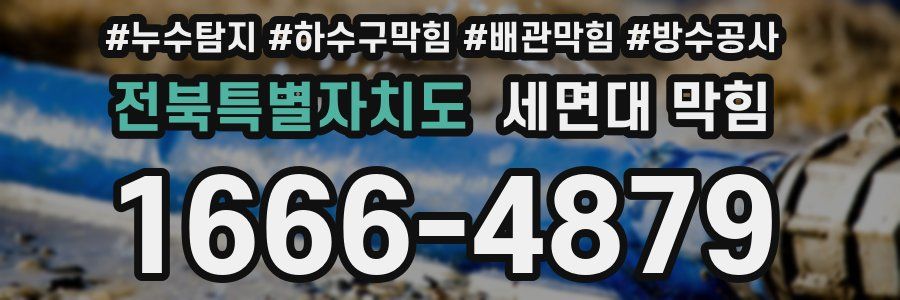 전북특별자치도 세면대 막힘