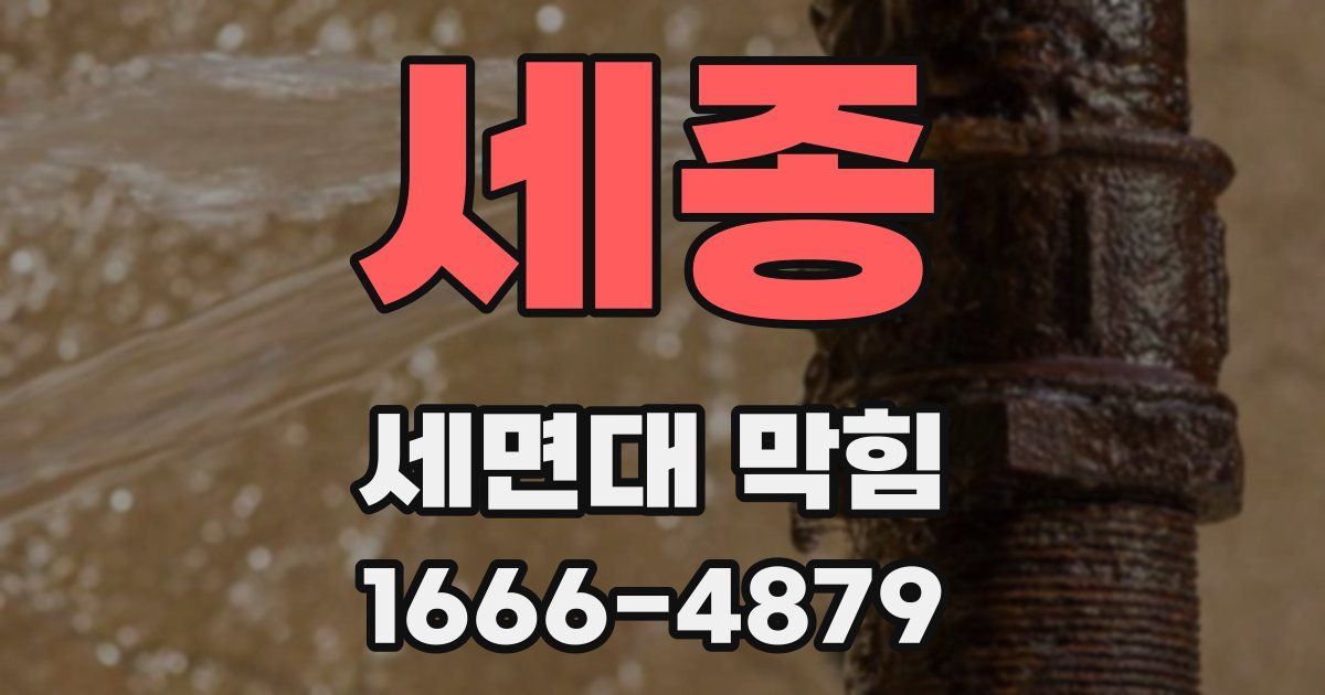 세종 세면대 막힘