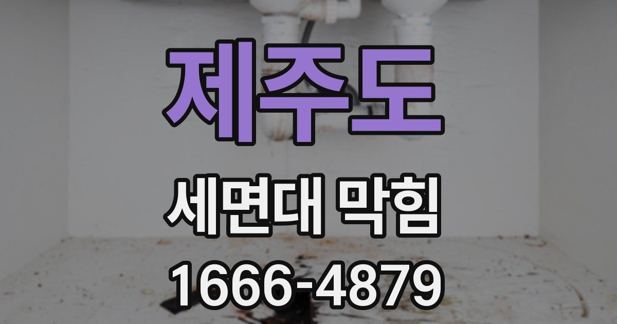 제주도 세면대 막힘