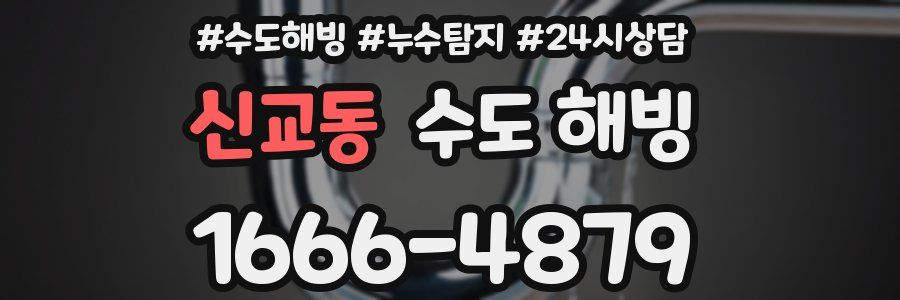 신교동 수도 해빙