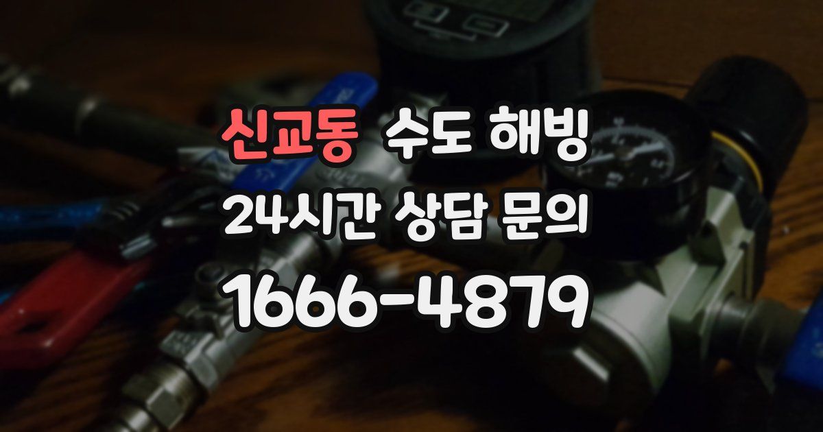 신교동 수도 해빙