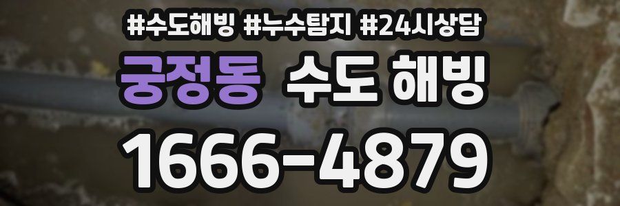 궁정동 수도 해빙