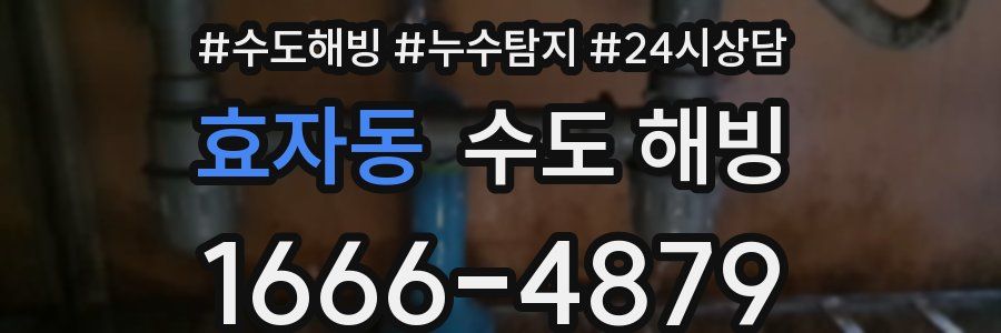 효자동 수도 해빙