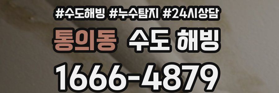 통의동 수도 해빙