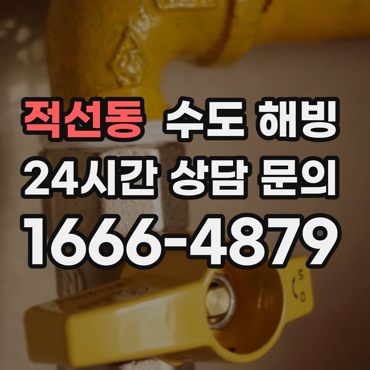 적선동 수도 해빙