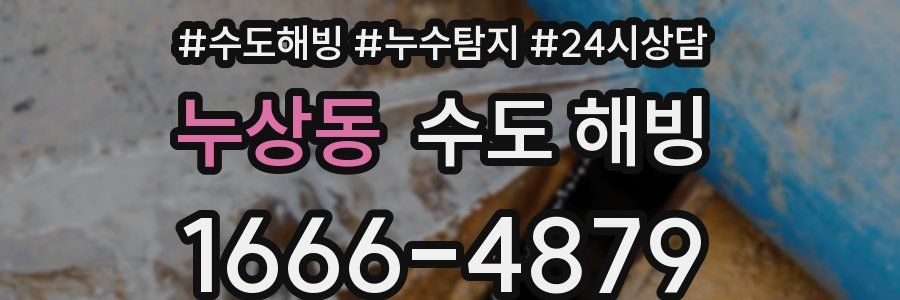 누상동 수도 해빙