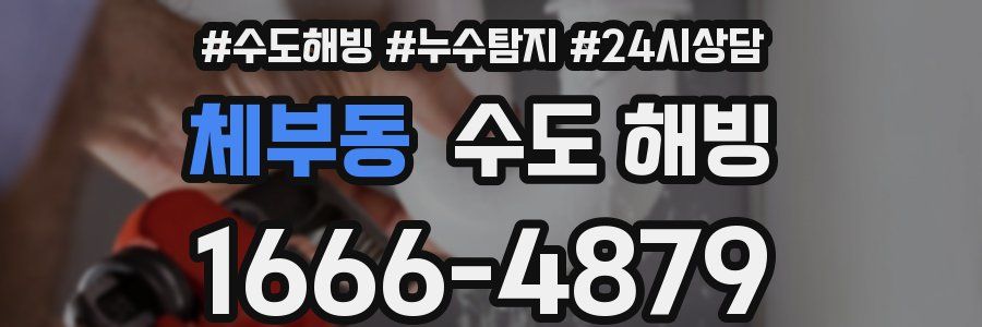 체부동 수도 해빙