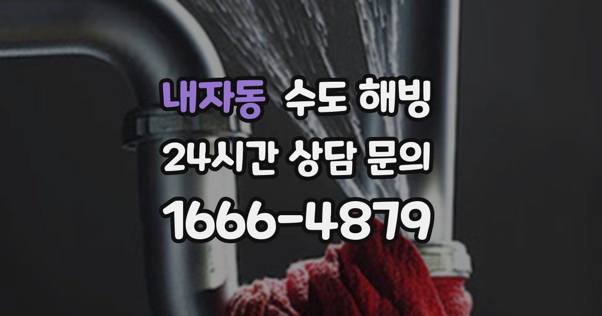 내자동 수도 해빙