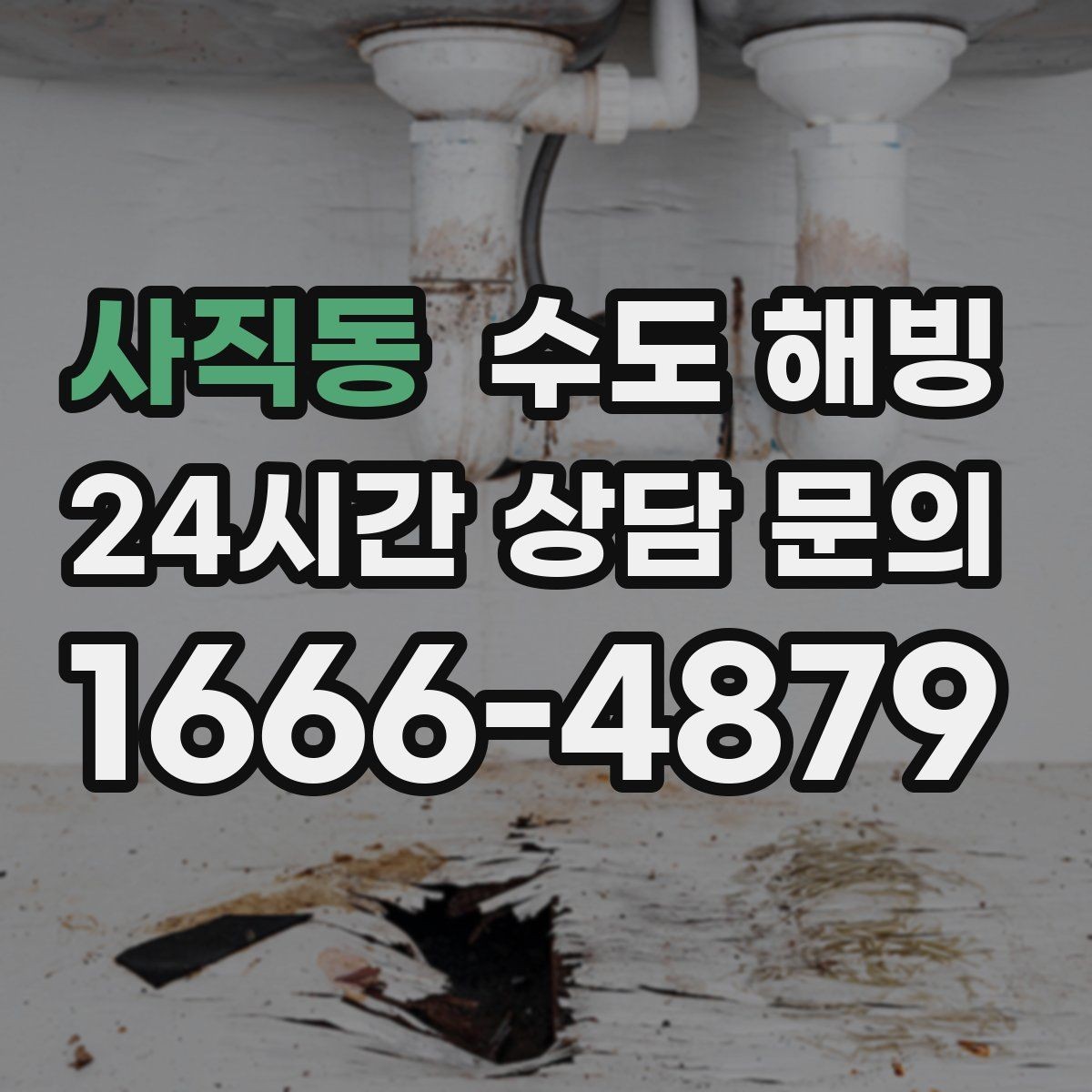 사직동 수도 해빙 상가 건물에서 여러 호실이 같이 안 나오면