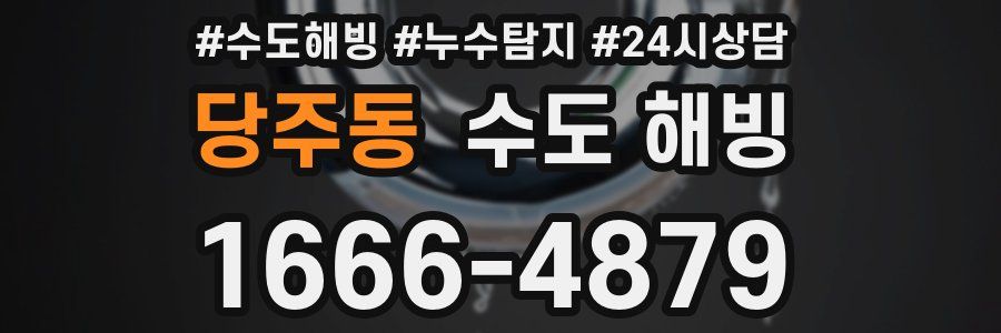 당주동 수도 해빙