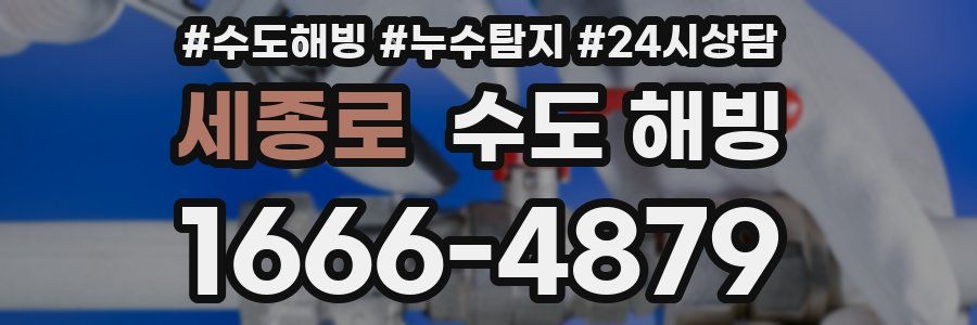 세종로 수도 해빙