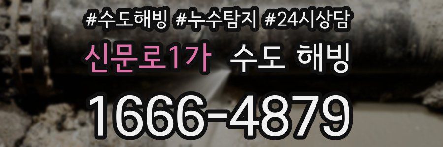 신문로1가 수도 해빙