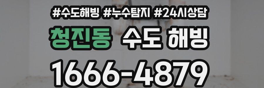 청진동 수도 해빙