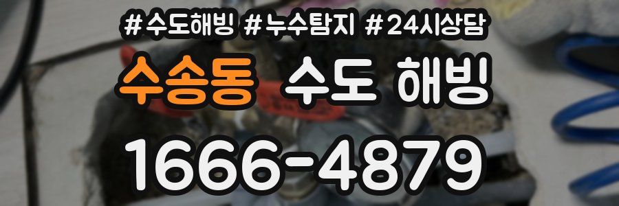 수송동 수도 해빙