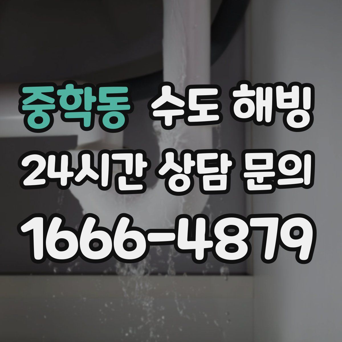 중학동 수도 해빙