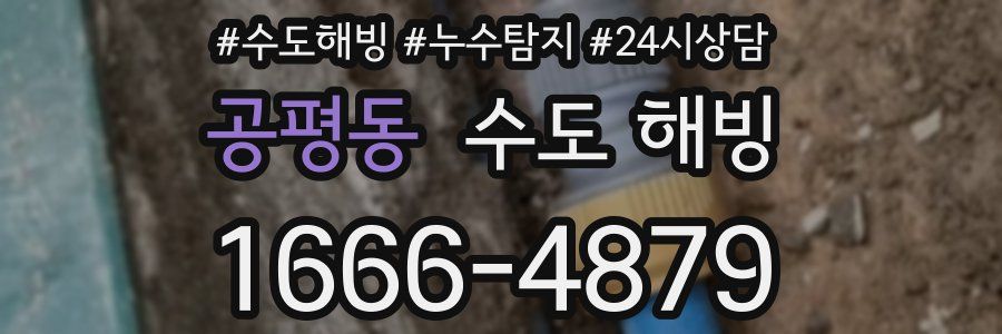 공평동 수도 해빙