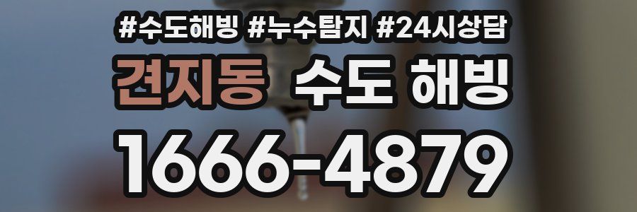 견지동 수도 해빙