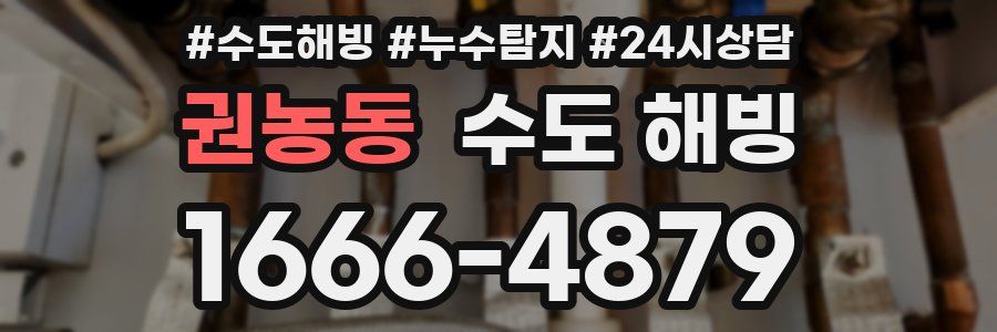 권농동 수도 해빙