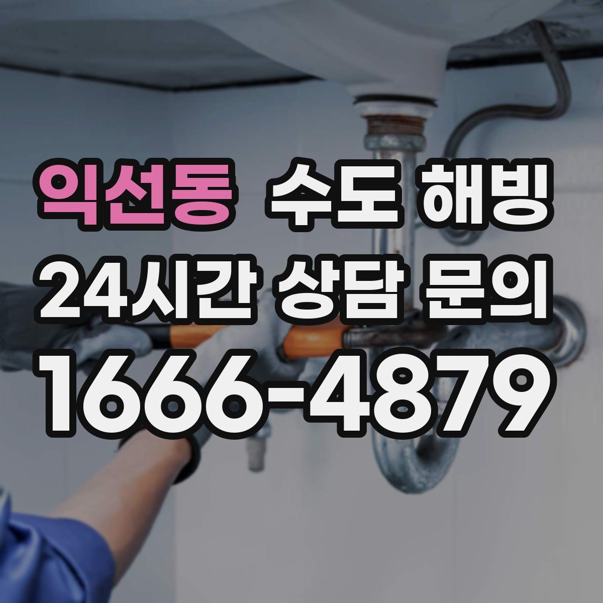 익선동 수도 해빙