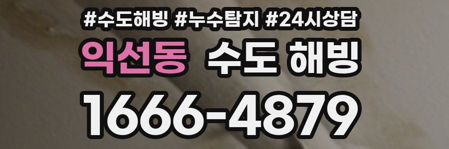 익선동 수도 해빙