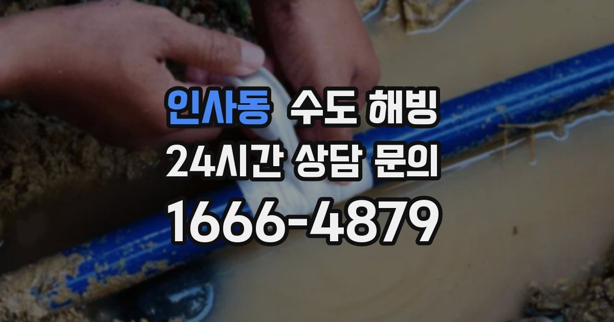 인사동 수도 해빙