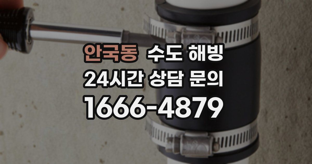 안국동 수도 해빙