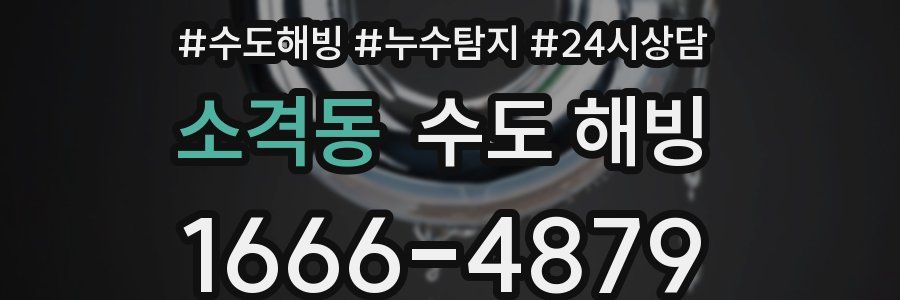 소격동 수도 해빙