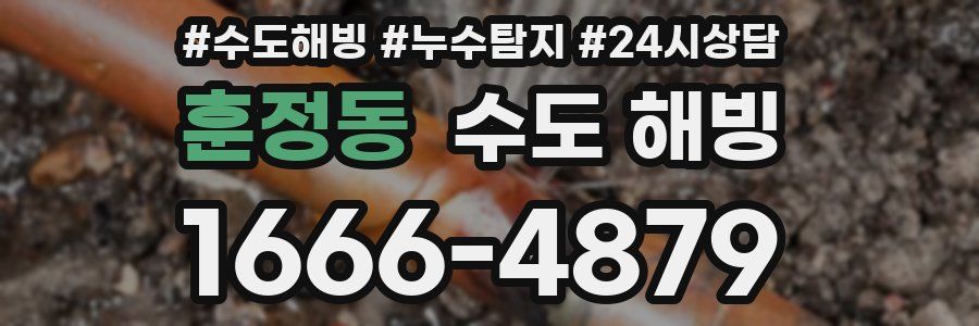 훈정동 수도 해빙