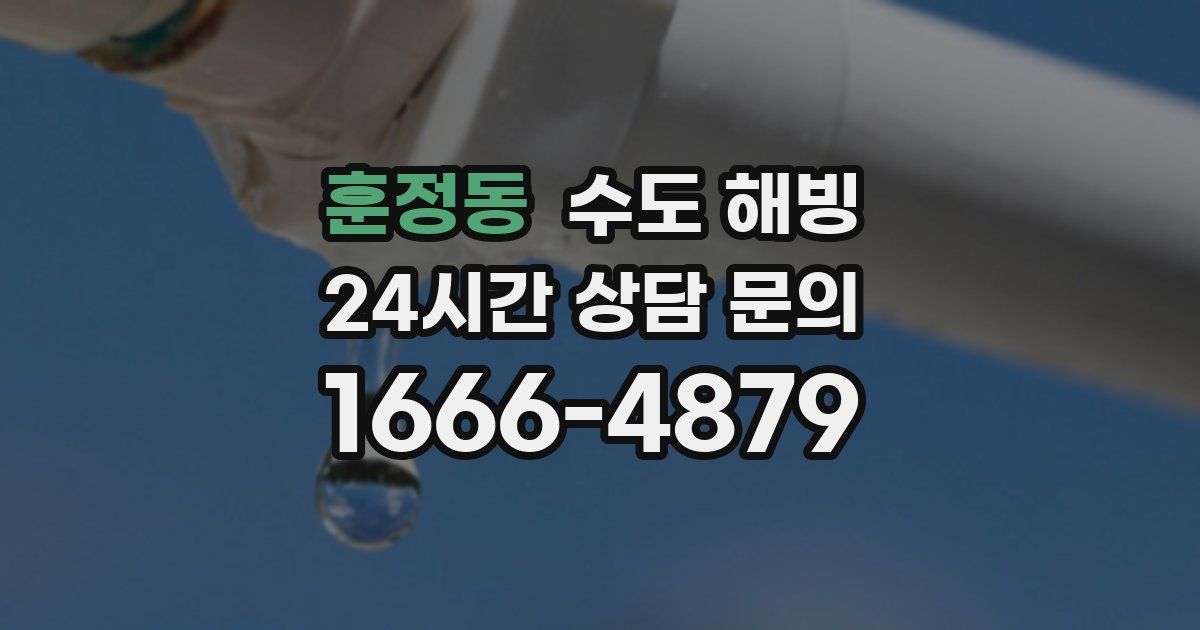 훈정동 수도 해빙