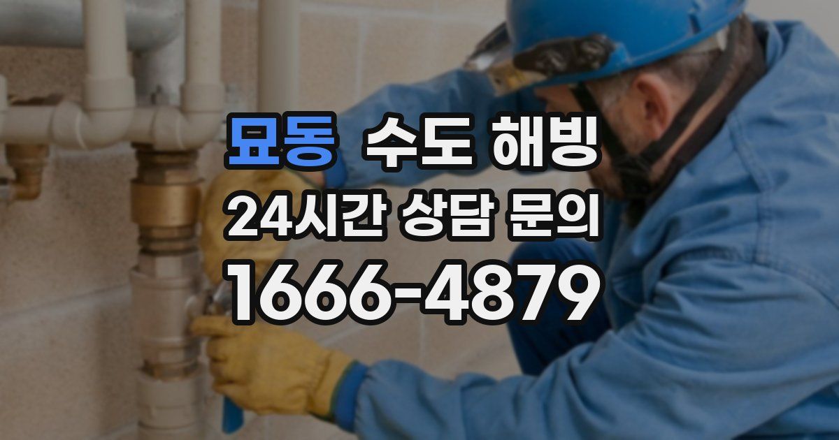 묘동 수도 해빙