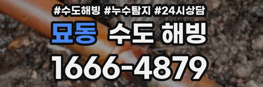 묘동 수도 해빙