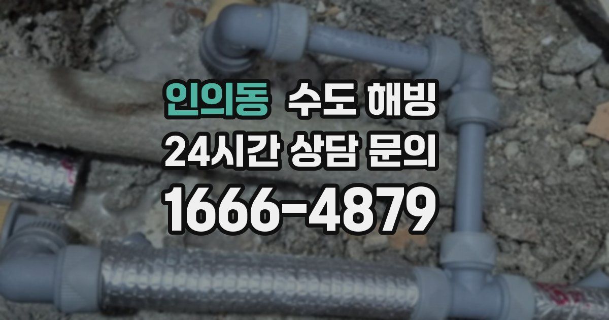 인의동 수도 해빙