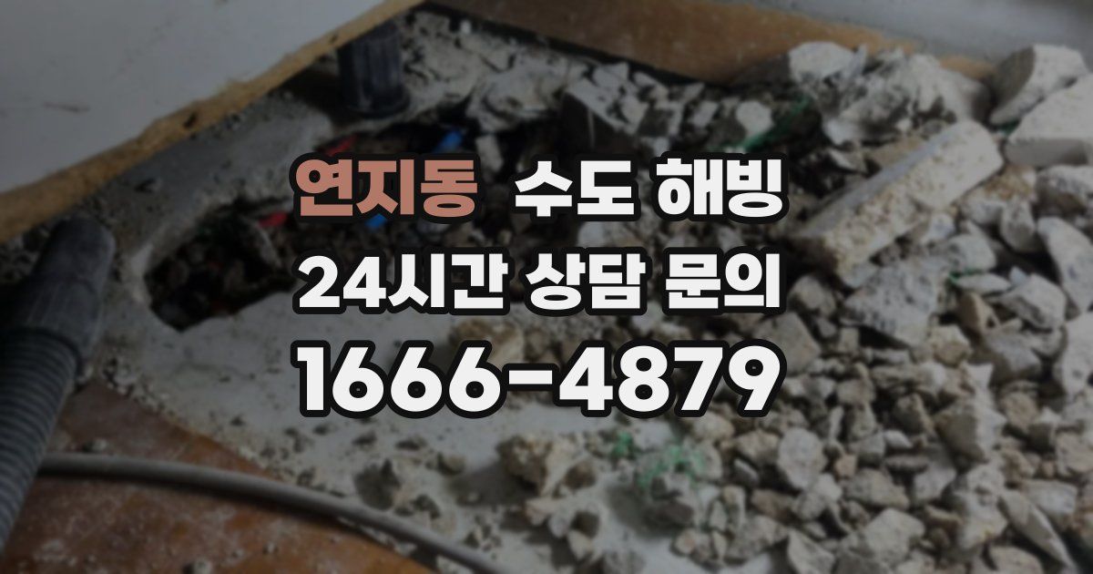 연지동 수도 해빙