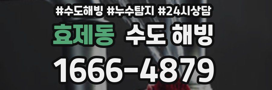 효제동 수도 해빙