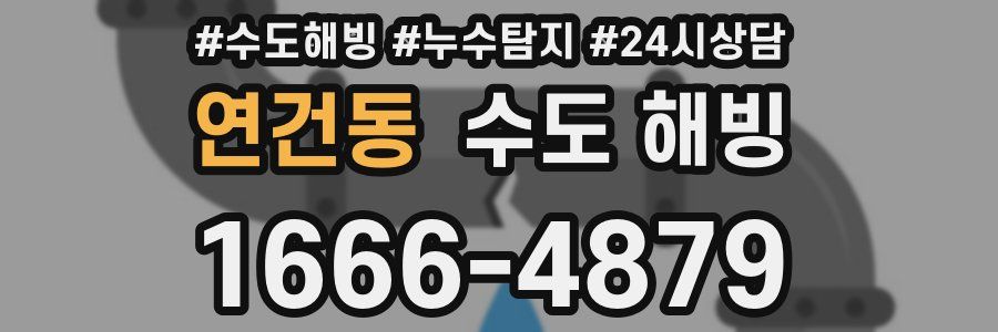 연건동 수도 해빙