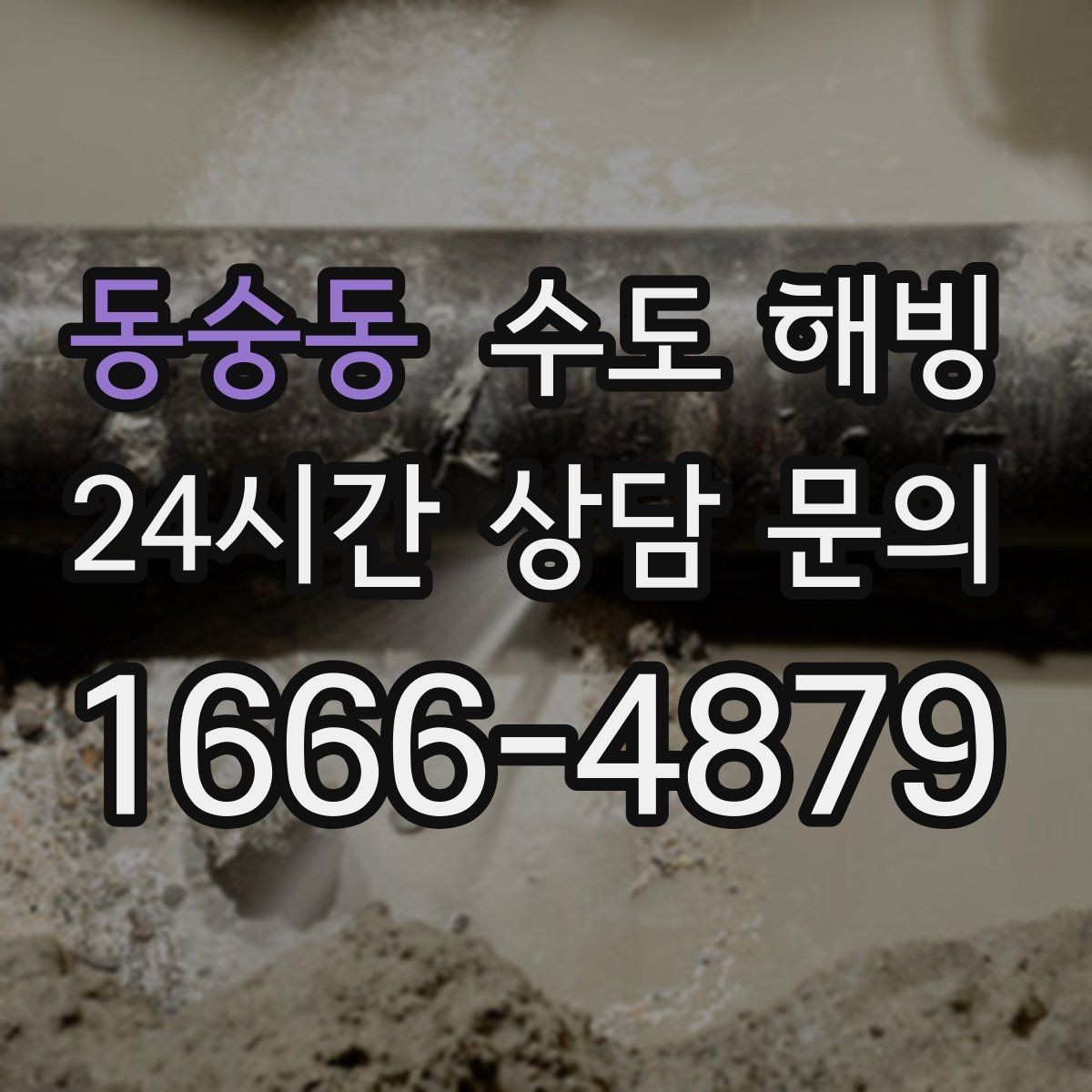 동숭동 수도 해빙 상가 수도가 얼면 영업에 영향이 큽니다