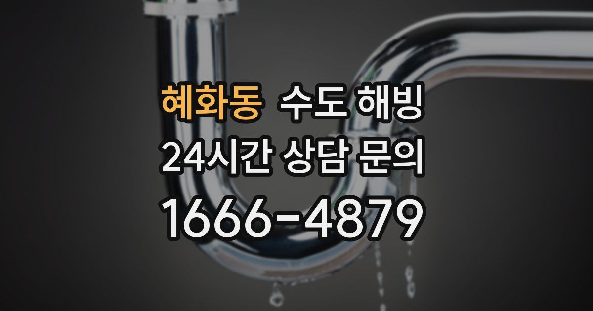 혜화동 수도 해빙