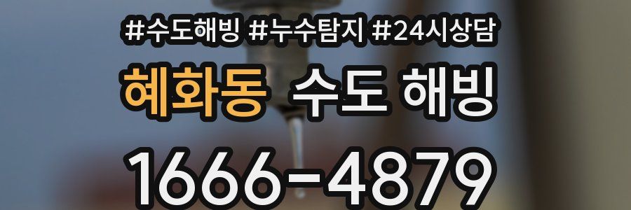 혜화동 수도 해빙