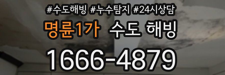 명륜1가 수도 해빙