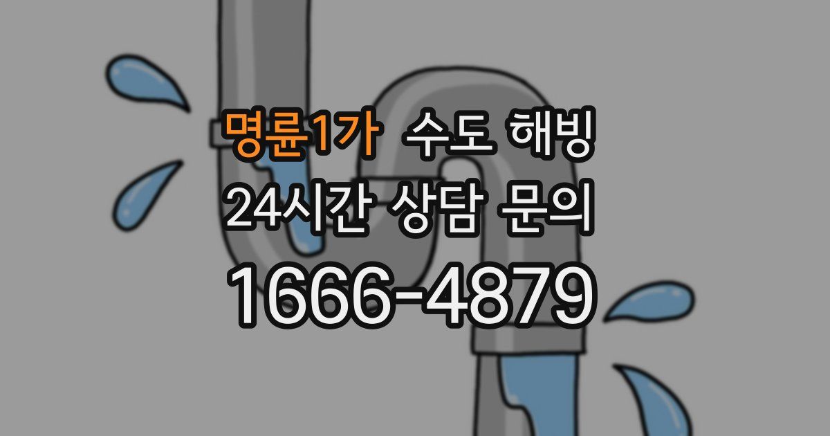 명륜1가 수도 해빙