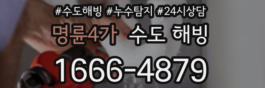 명륜4가 수도 해빙