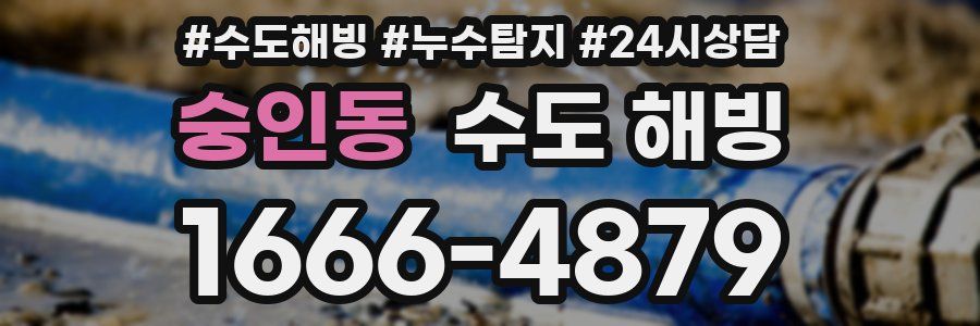 숭인동 수도 해빙