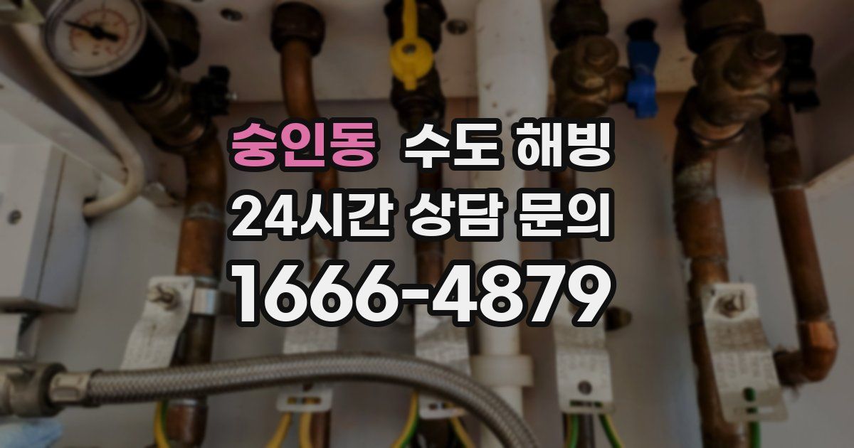 숭인동 수도 해빙